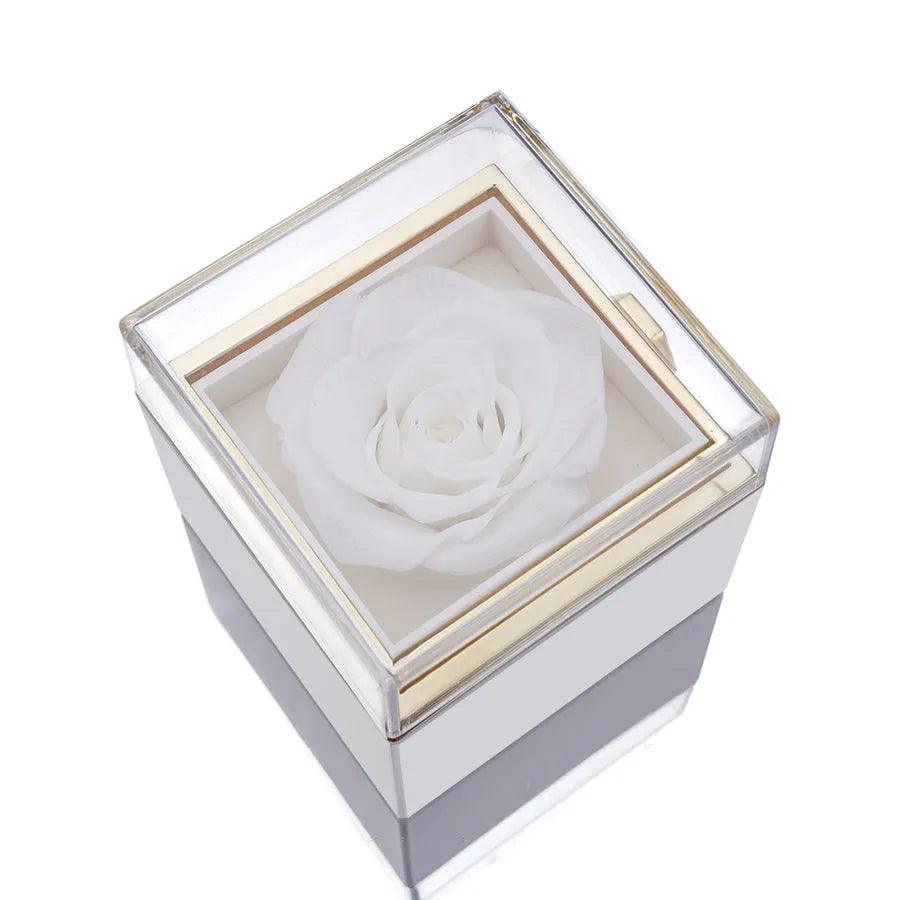 Eternal_Rose_Box_-_W_Engraved_Necklace___Rea_Rose_Novaryss_14